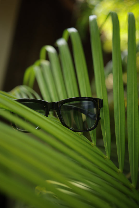 What are those popular sunglasses called