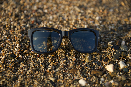 Electrochromic Glasses