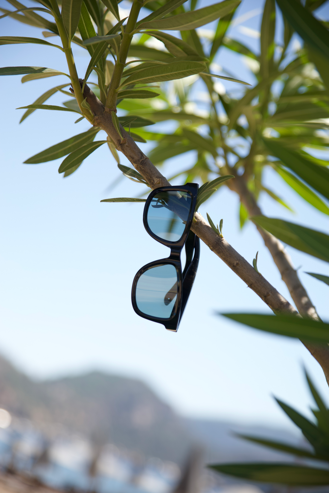 Smart Electrochromic Glasses