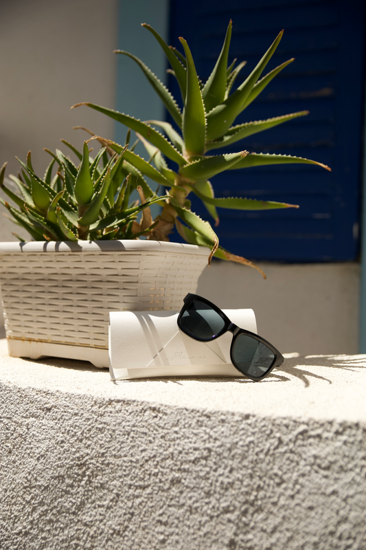 Electrochromic Glasses